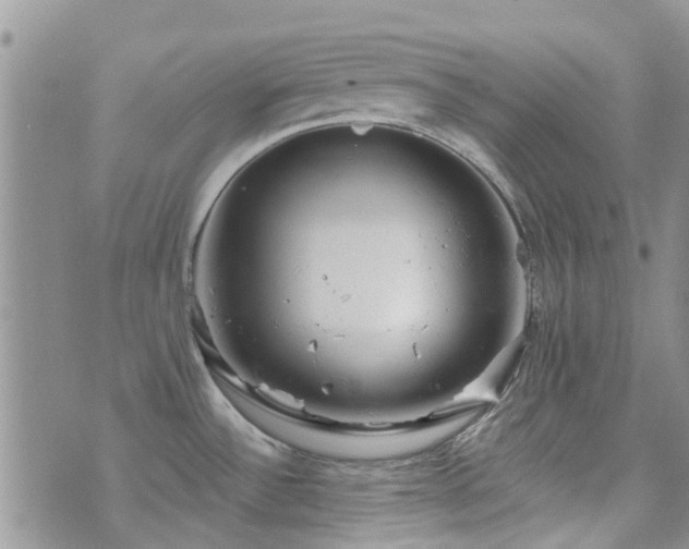 X0000073711532200608031227