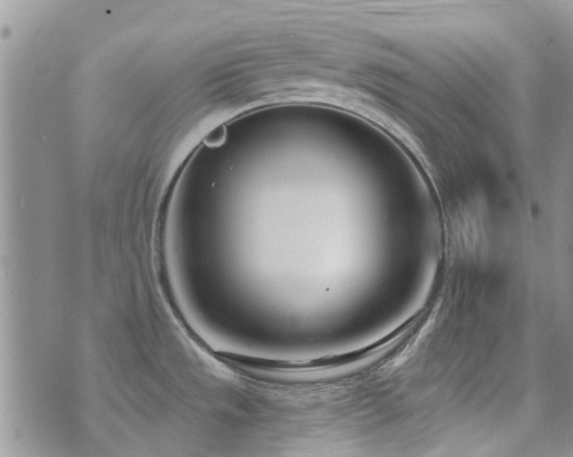 X0000073711533200608031227