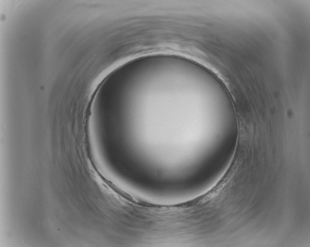 X0000073711534200608031227