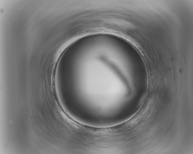 X0000073711535200608031227