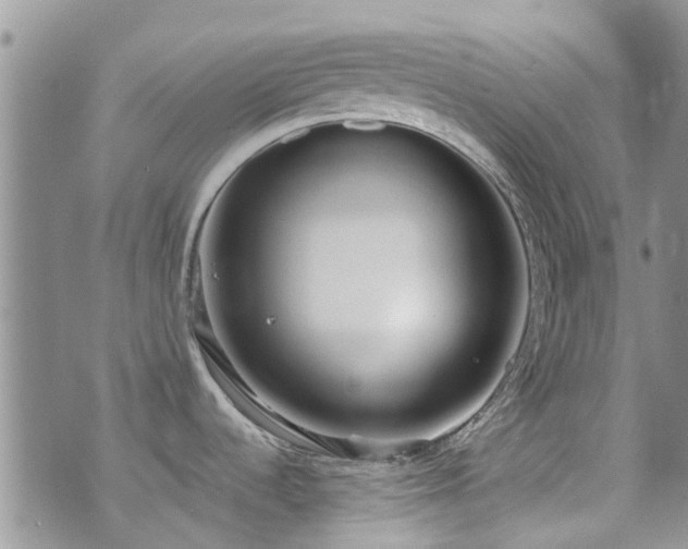 X0000073711536200608031227