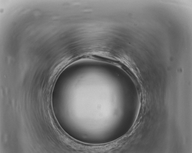 X0000073710001200608101850