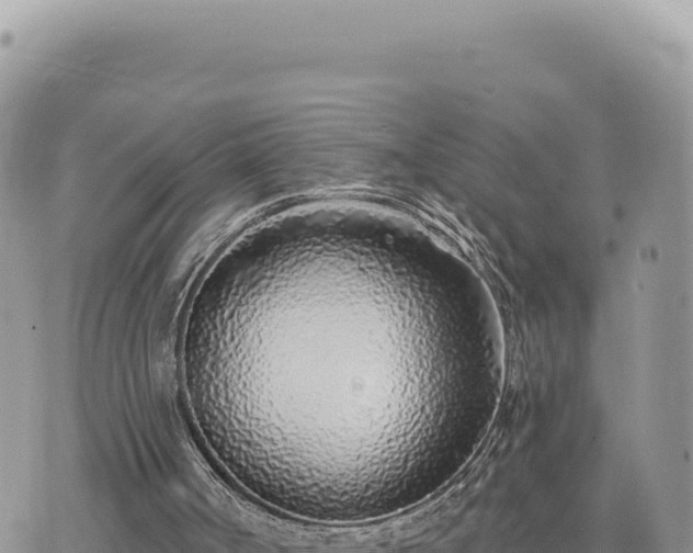 X0000073710002200608101850