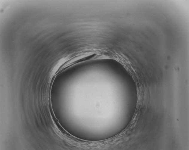 X0000073710003200608101850