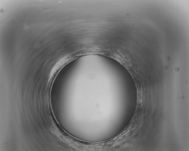 X0000073710004200608101850