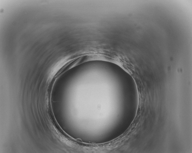 X0000073710005200608101850