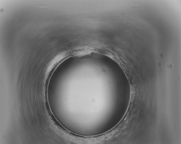 X0000073710006200608101850