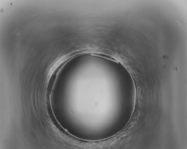 X0000073710007200608101850