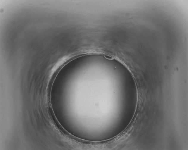 X0000073710008200608101850