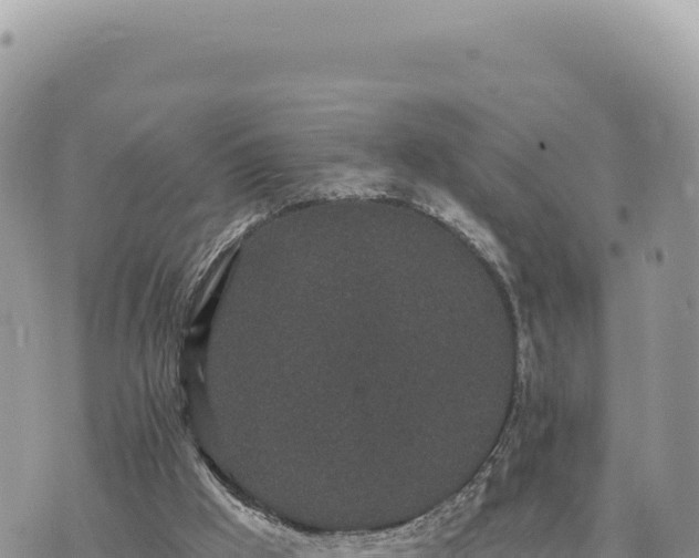 X0000073710009200608101850