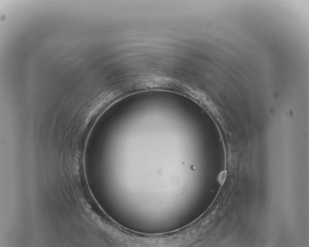 X0000073710010200608101850