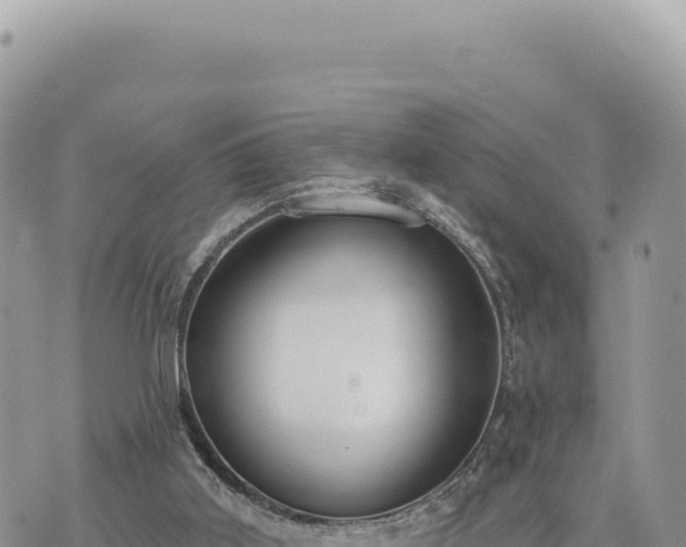 X0000073710011200608101850