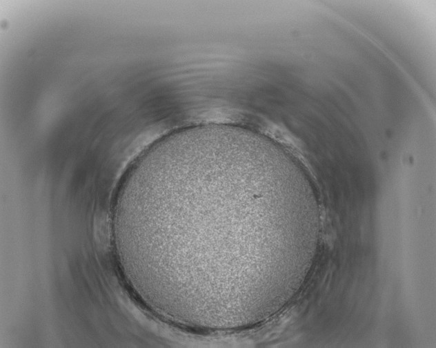 X0000073710012200608101850