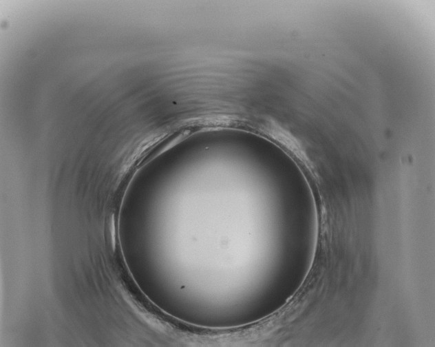 X0000073710013200608101850