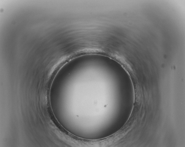 X0000073710015200608101850