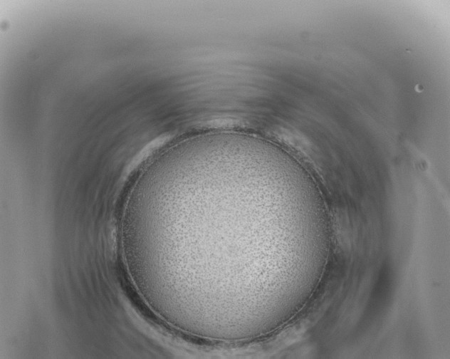 X0000073710016200608101850