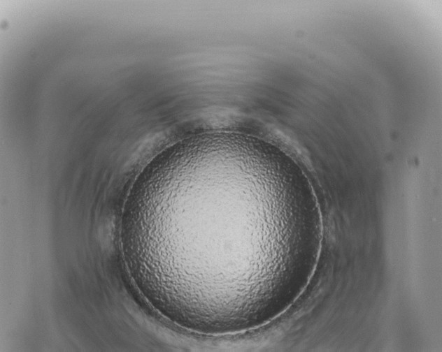 X0000073710018200608101850