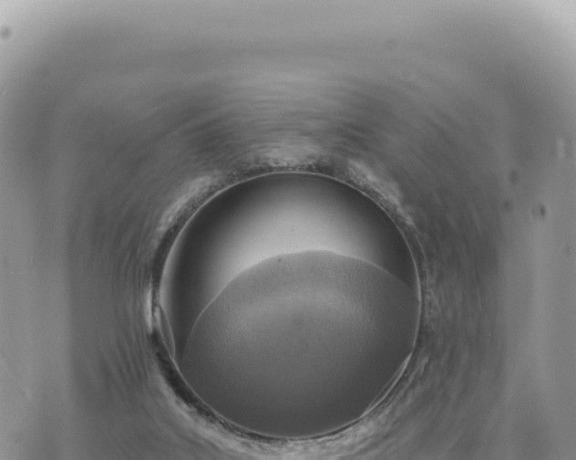 X0000073710019200608101850