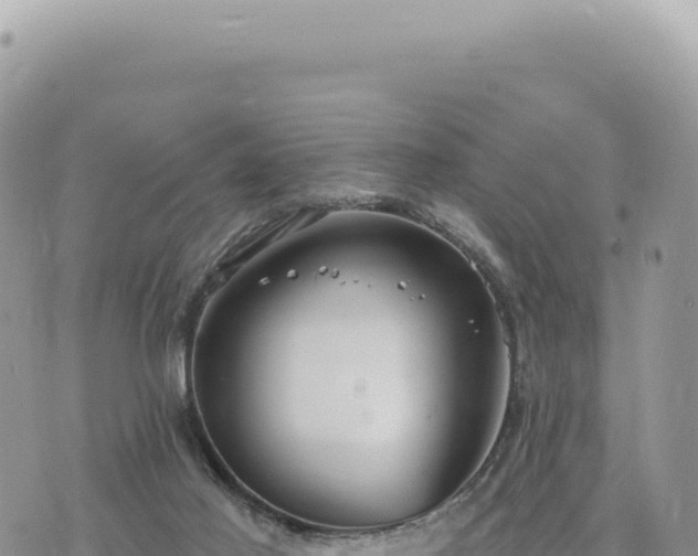 X0000073710021200608101850