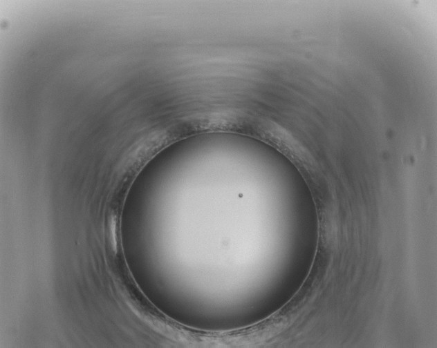 X0000073710022200608101850