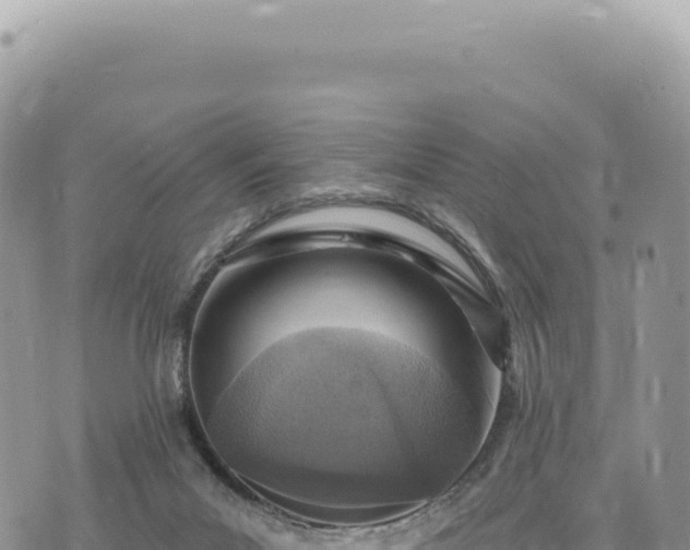 X0000073710023200608101850