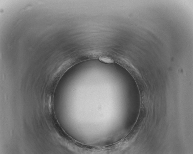 X0000073710024200608101850