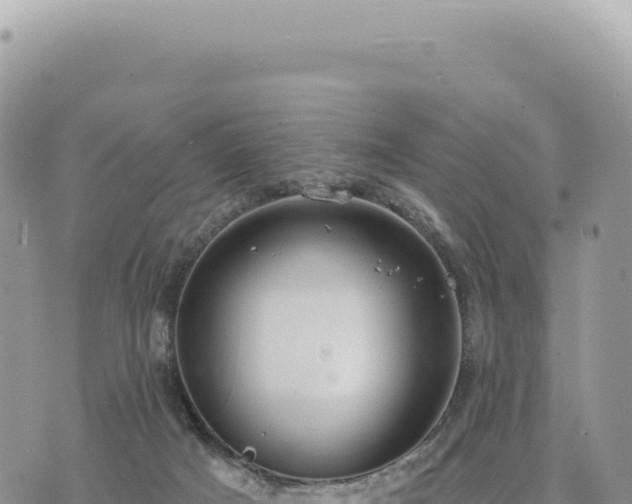 X0000073710025200608101850