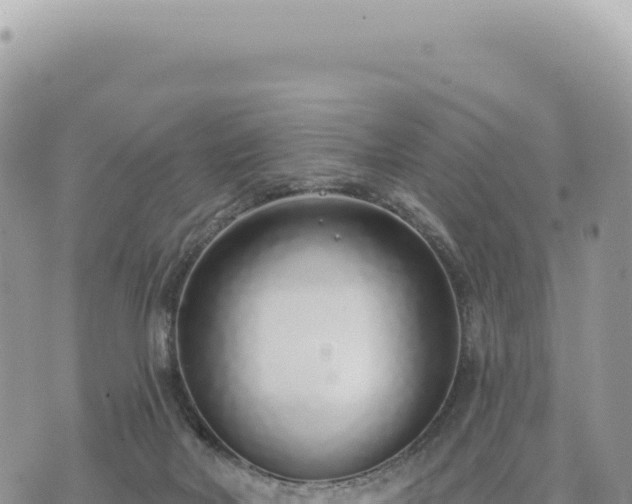 X0000073710026200608101850