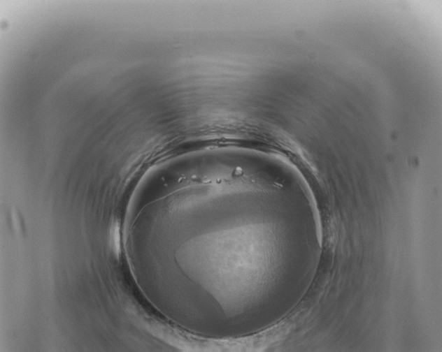 X0000073710027200608101850