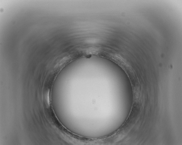 X0000073710028200608101850