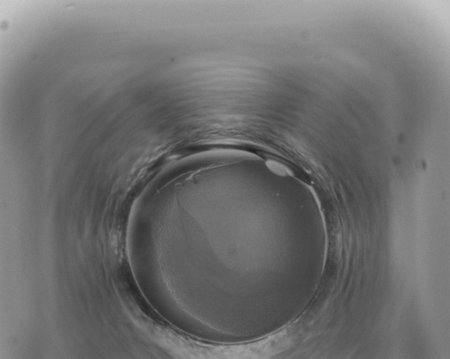 X0000073710031200608101850