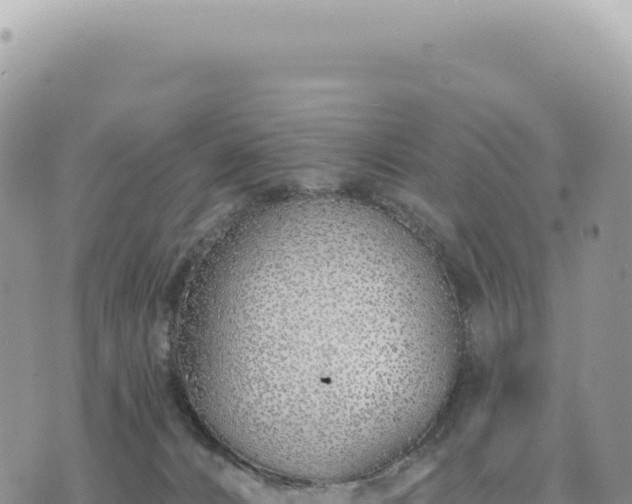 X0000073710032200608101850