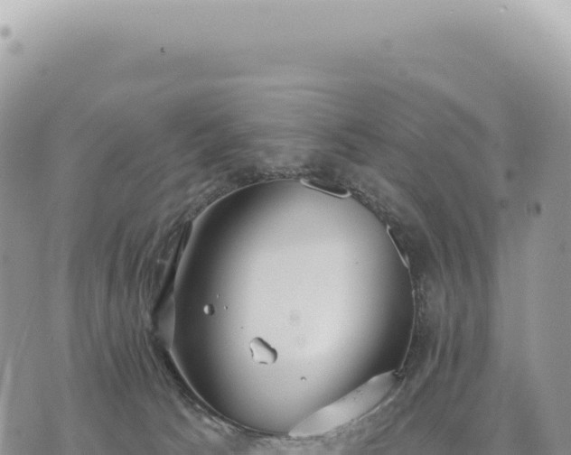 X0000073710033200608101850