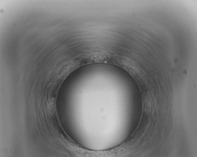 X0000073710034200608101850