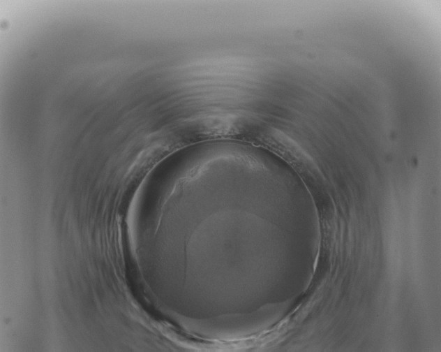 X0000073710035200608101850