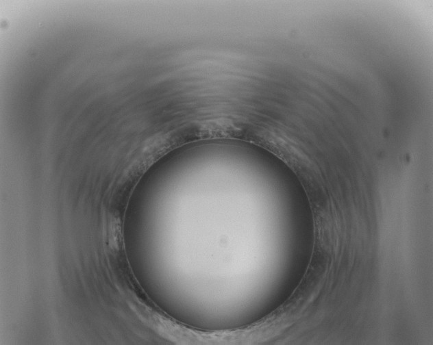 X0000073710038200608101850