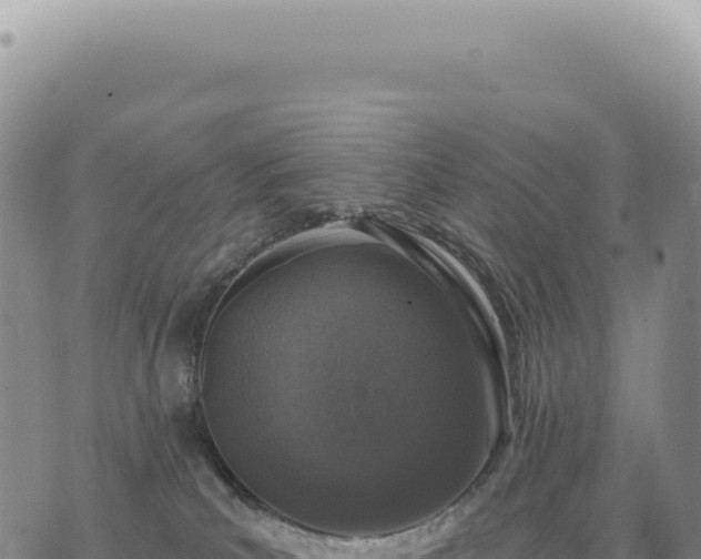 X0000073710039200608101850