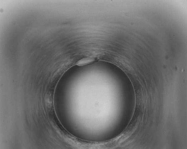 X0000073710040200608101850