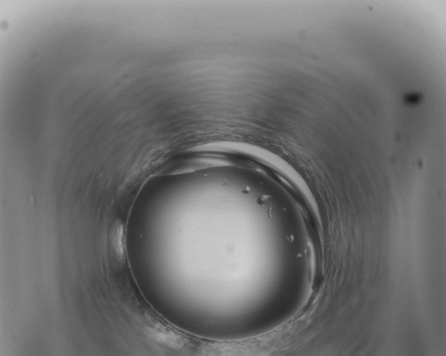 X0000073710041200608101850