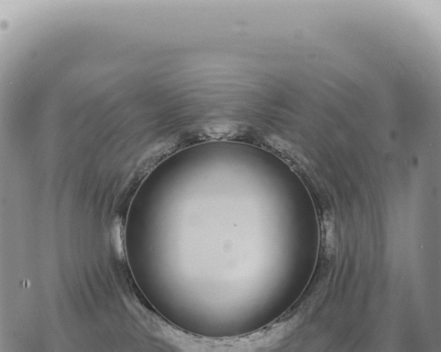 X0000073710042200608101850