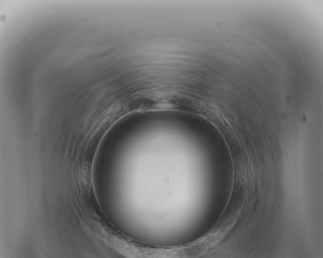 X0000073710044200608101850