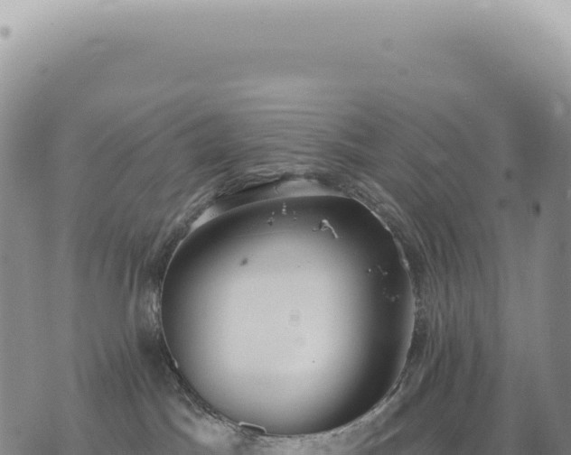 X0000073710045200608101850