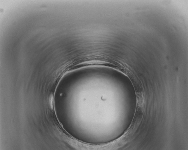 X0000073710047200608101850