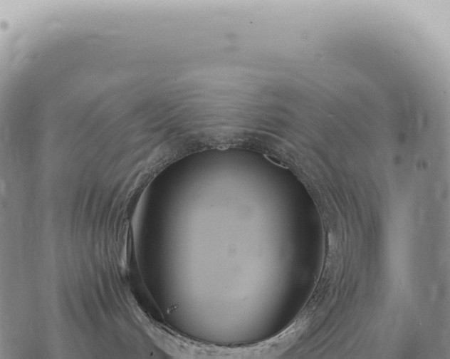 X0000073710048200608101850