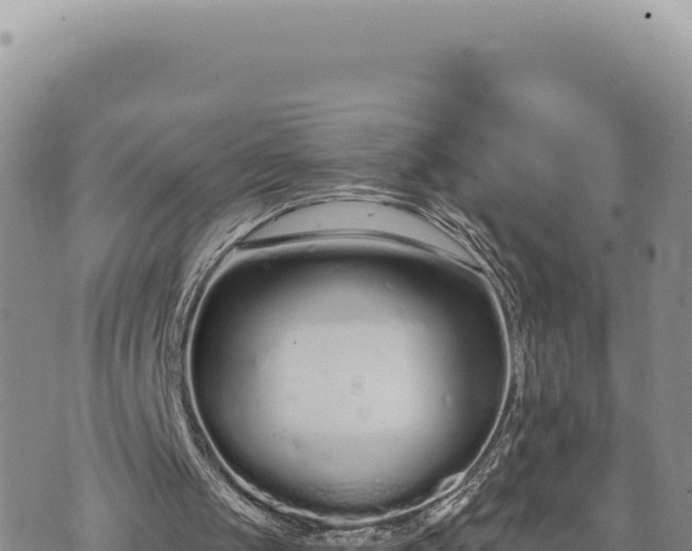 X0000073710049200608101849