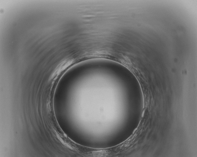 X0000073710050200608101849