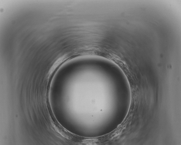 X0000073710051200608101849