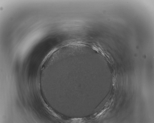 X0000073710052200608101849