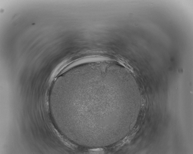 X0000073710053200608101849