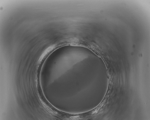 X0000073710054200608101849